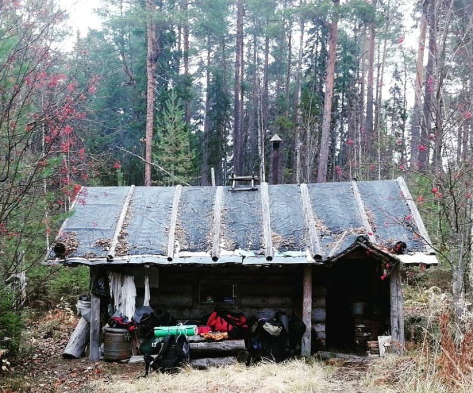 Спасатели Северодвинска отработали навыки поиска людей в лесу
